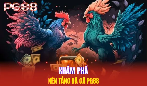 Khám phá nền tảng đá gà PG88